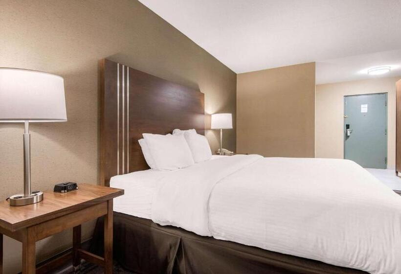 带大床的标准间, Quality Inn & Conference Centre