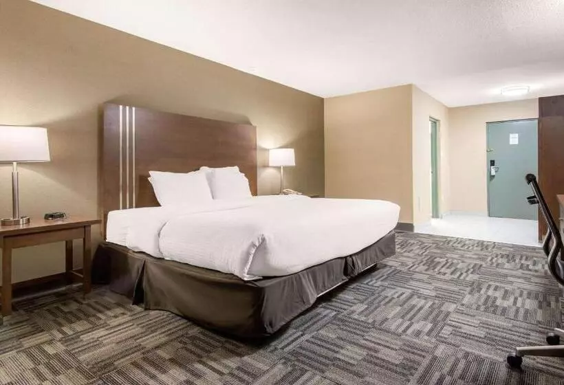 Standard-huone King-vuode, Quality Inn & Conference Centre