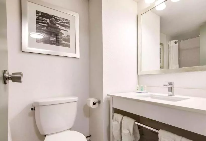 Standard-huone King-vuode, Quality Inn & Conference Centre