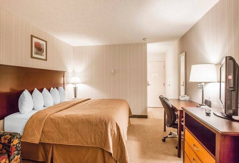 スタンダードルーム, Quality Inn & Conference Centre
