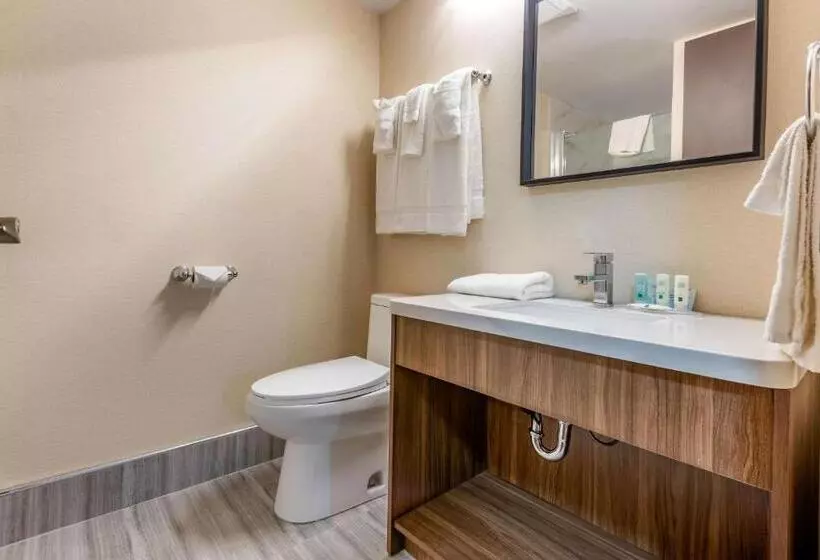 اتاق سوپریور, Quality Inn & Suites