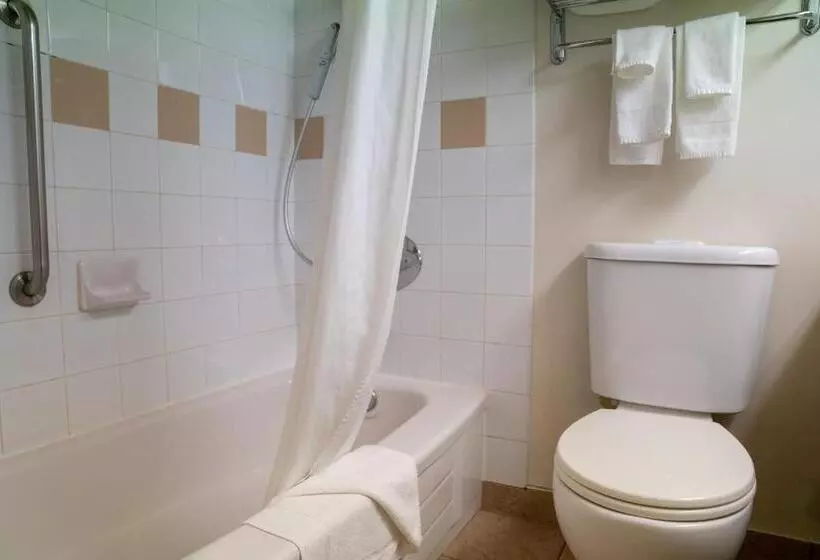 Quarto Estandar Cama King, Forest Park