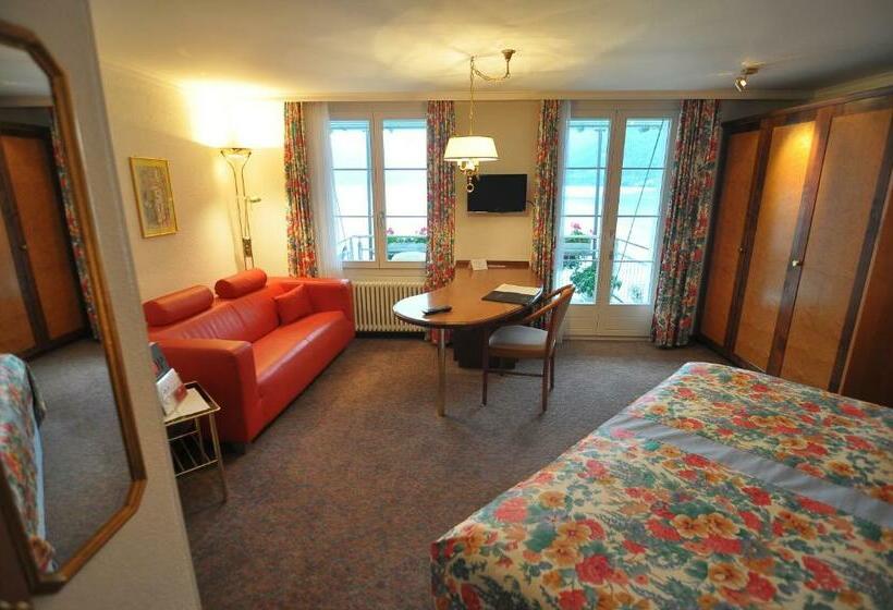 חדר סטנדרט נוף לאגם, Seiler Au Lac