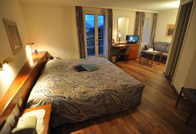 غرفة قياسية مطلّة علي الحديقة, Seiler Au Lac