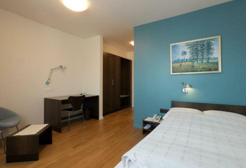 Номер Superior Одноместный, Terminus Brugg