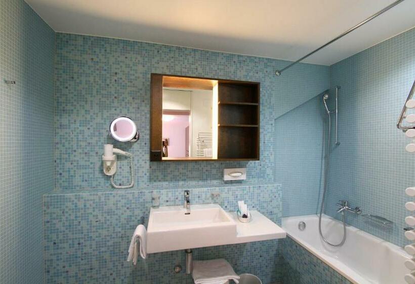 Номер Superior Одноместный, Terminus Brugg