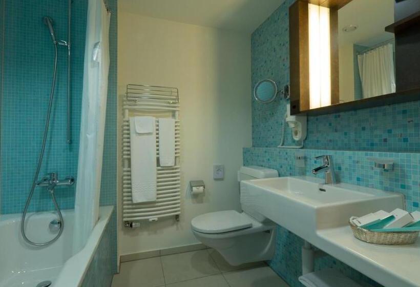 Номер Superior Одноместный, Terminus Brugg