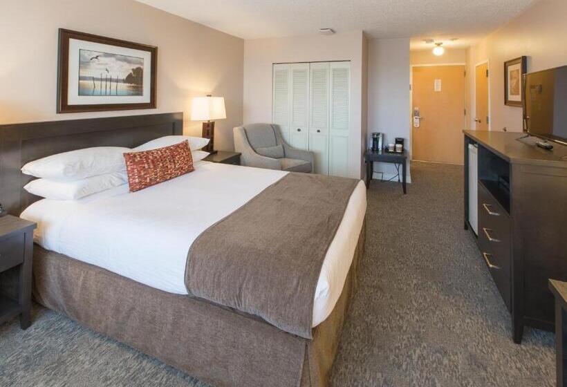 标准间, The Embassy Inn