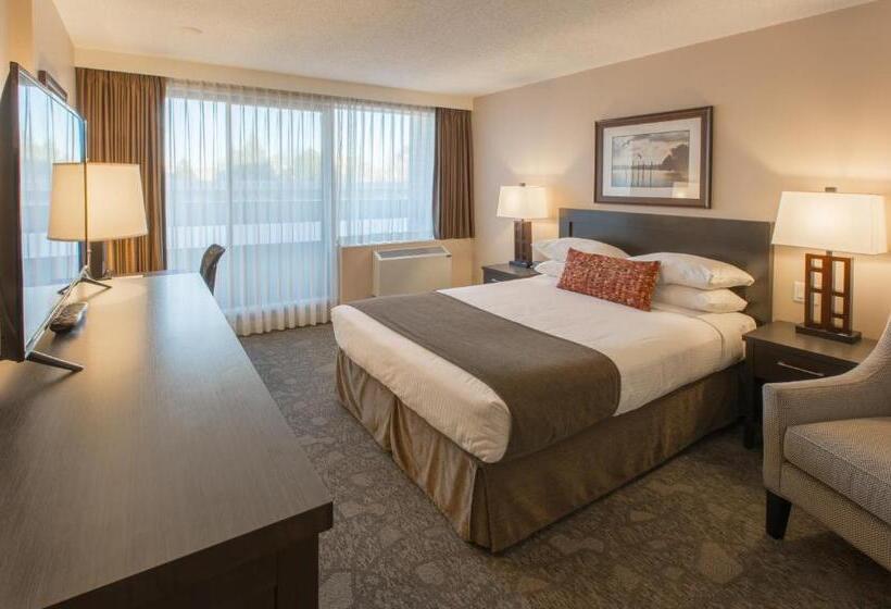 标准间, The Embassy Inn