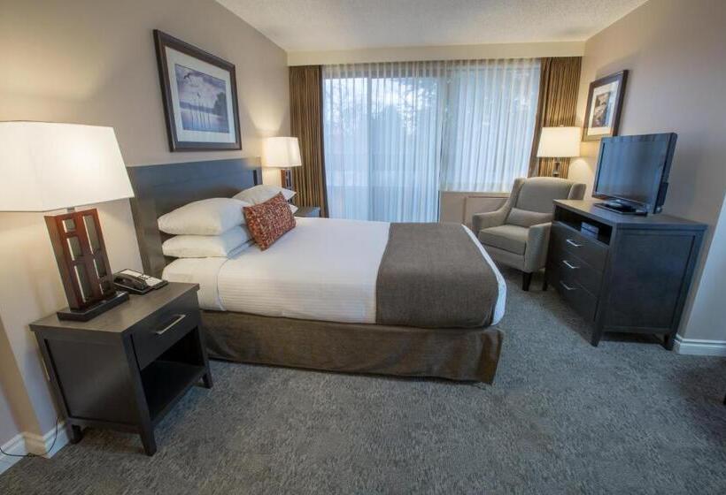 标准间, The Embassy Inn