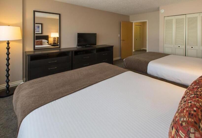 高级套房, The Embassy Inn