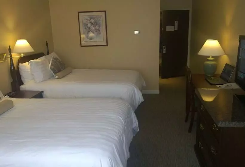 اتاق استاندارد با 2 تخت دوبل, The Pacific Inn