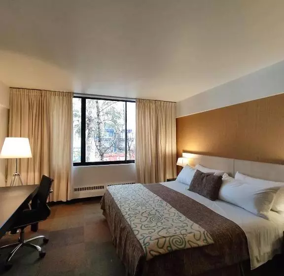 Superior Room, Alborada