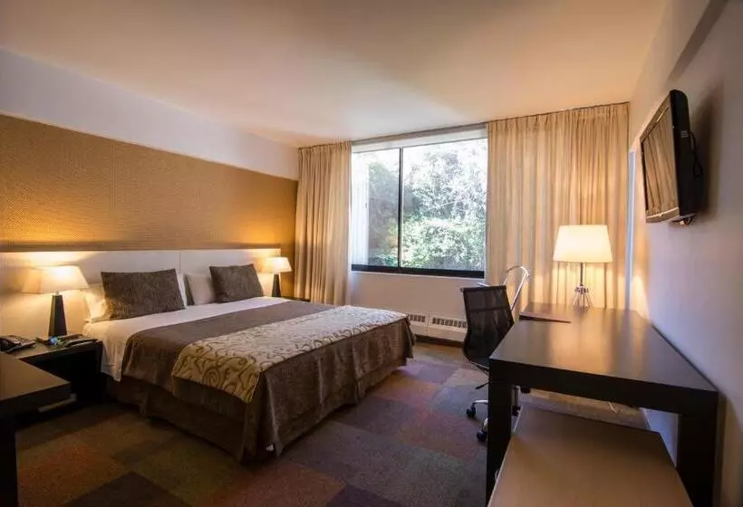 Superior Room, Alborada