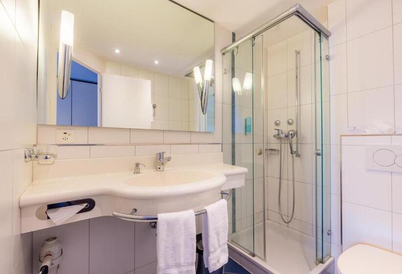 스탠다드 싱글 룸, Des Alpes