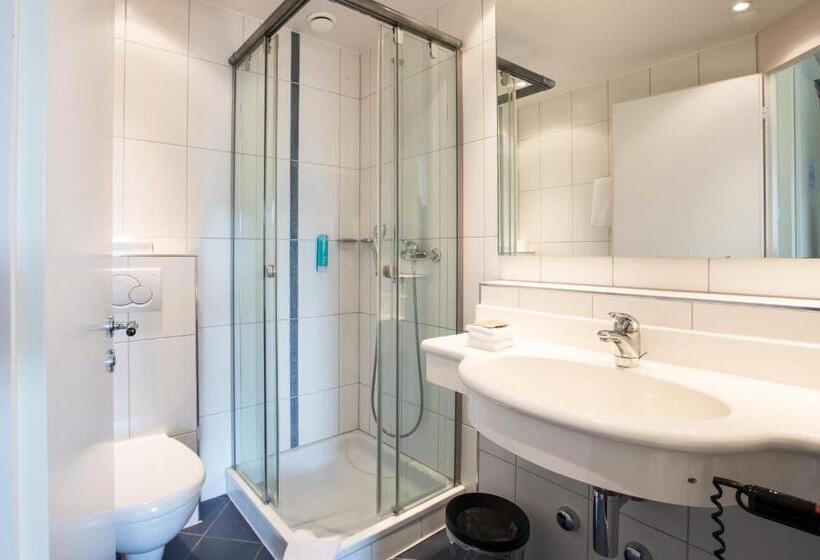 스탠다드 싱글 룸, Des Alpes