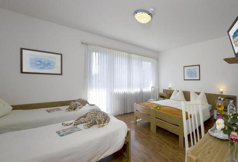 اتاق استاندارد با بالکن, Rondinella Locarno