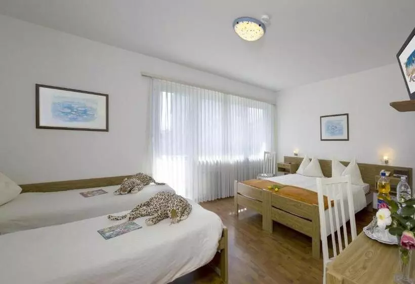 اتاق استاندارد با بالکن, Rondinella Locarno