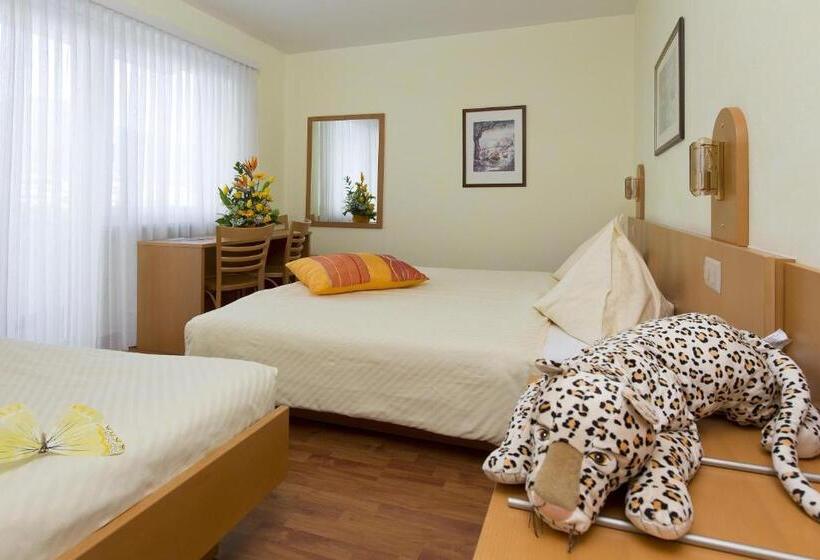 Номер Стандарт с Балконом, Rondinella Locarno