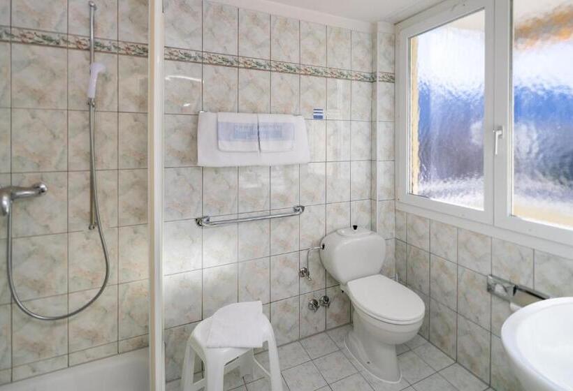 اتاق سوپریور, Rondinella Locarno