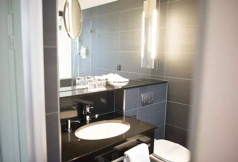 اتاق راحتی یک تخته, Glockenhof Zurich