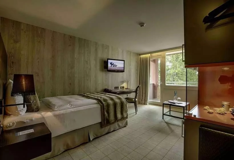 スタンダードシングルルーム, Grischa   Das Hotel Davos