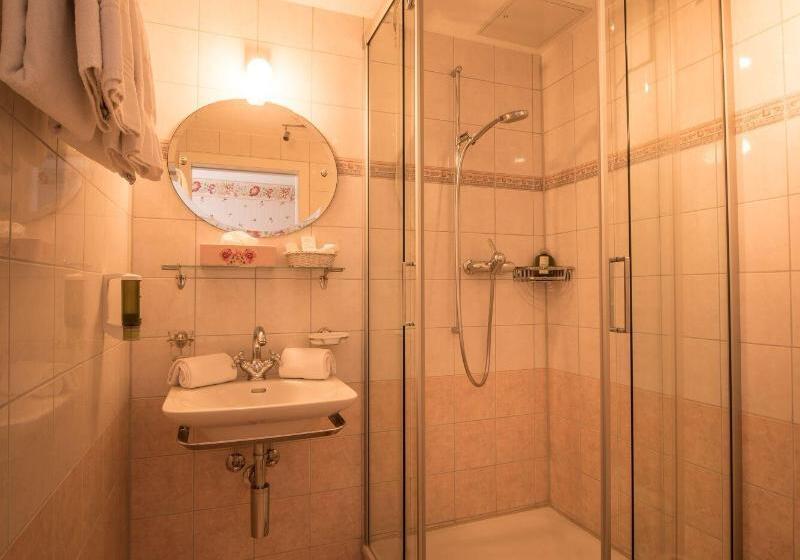 غرفة قياسية فردية, Historic Hotel Falken