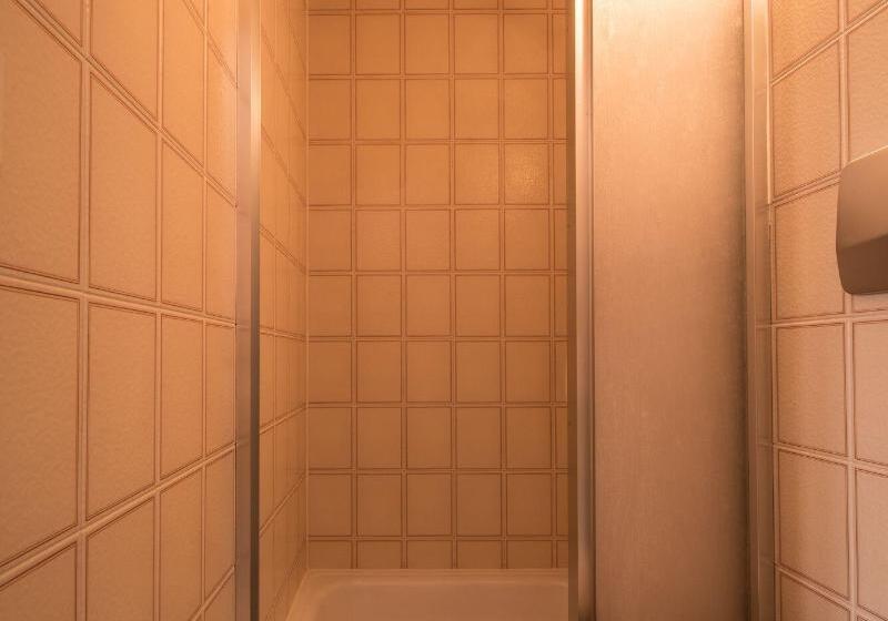 غرفة قياسية فردية, Historic Hotel Falken