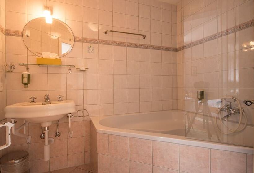 غرفة سوبيريور مطلّة علي الحديقة, Historic Hotel Falken