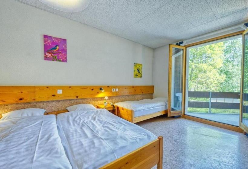 غرفة قياسية مزوَّدة بشُرفة, Hôtel Les Sources