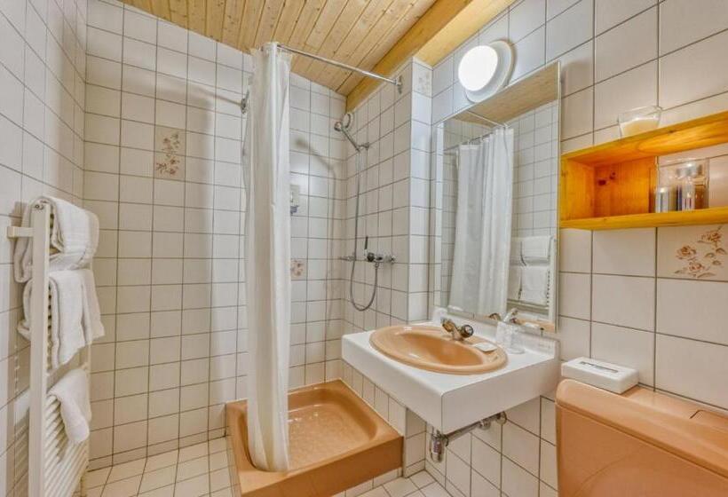 Номер Стандарт с Балконом, Hôtel Les Sources
