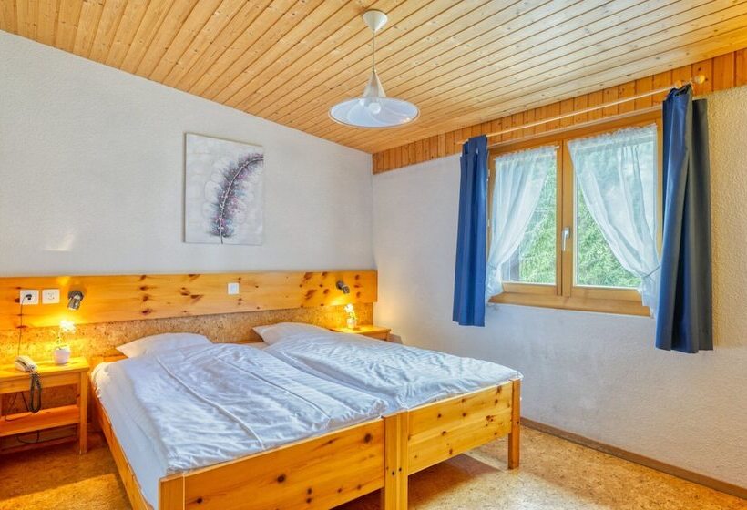 Номер Стандарт, Hôtel Les Sources