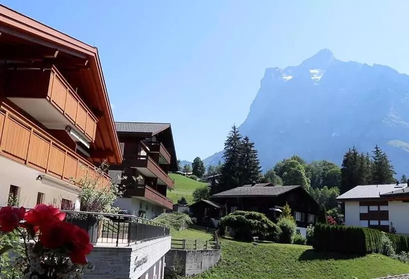 Camera Standard Singola con Balcone, Grindellodge