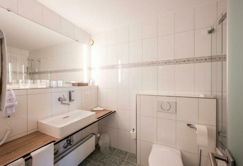 Номер Deluxe Одноместный, Metropole Swiss Quality