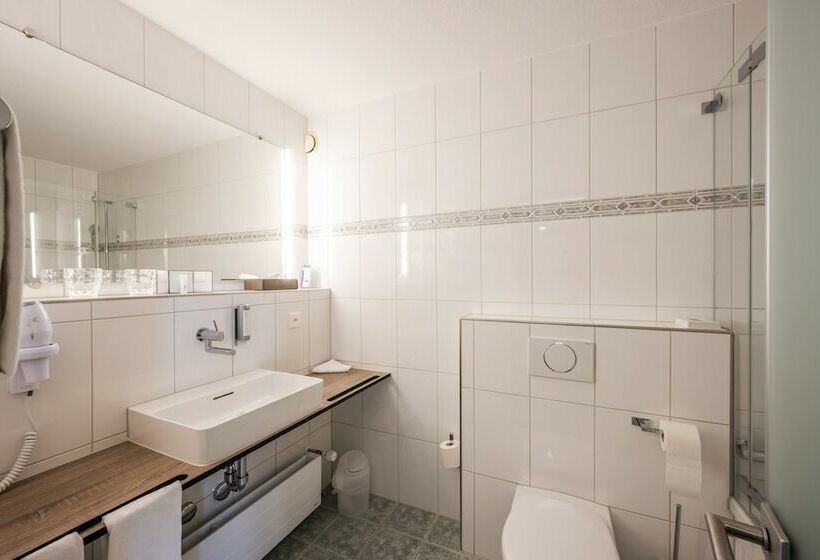 Номер Deluxe Одноместный, Metropole Swiss Quality