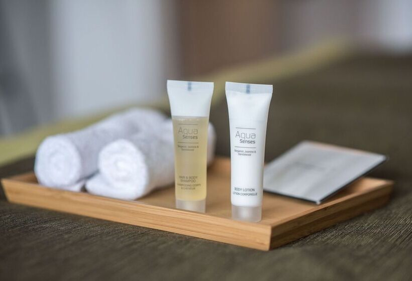 Superior Room with Terrace, Montana