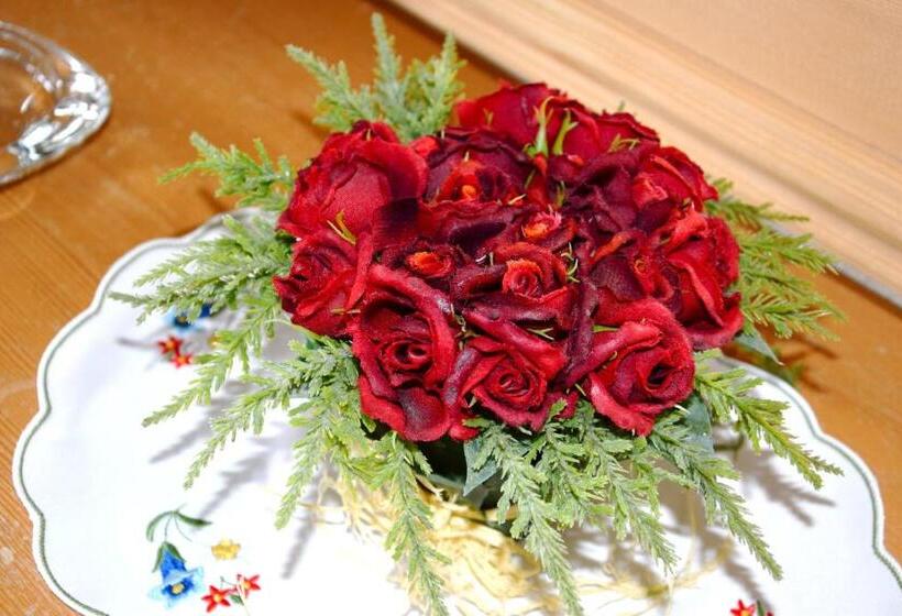 Номер Стандарт Индивидуальный, Salastrains