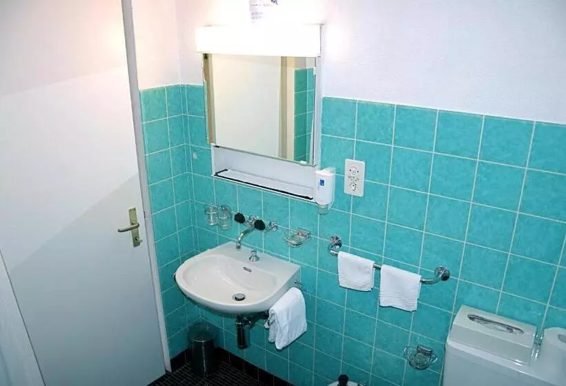 Chambre Standard Individuelle, Salastrains