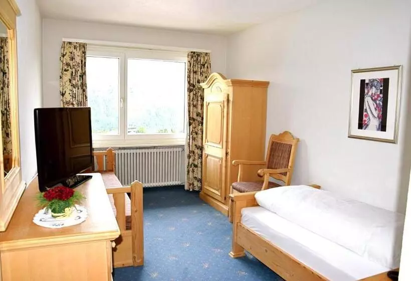 Chambre Standard Individuelle, Salastrains