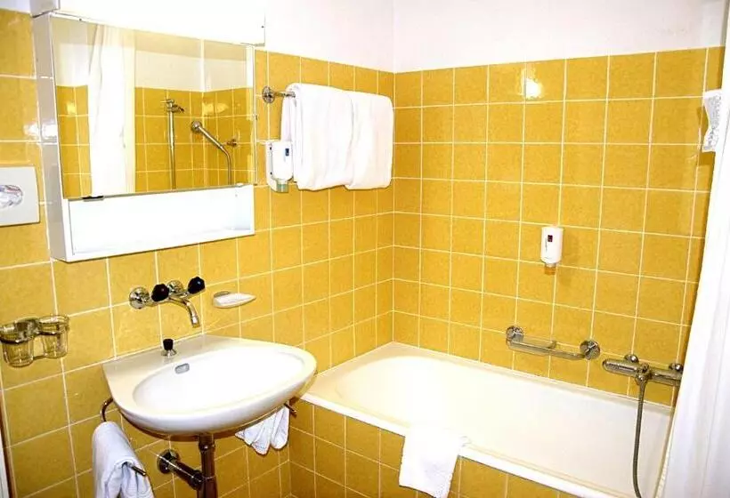 Chambre Standard, Salastrains
