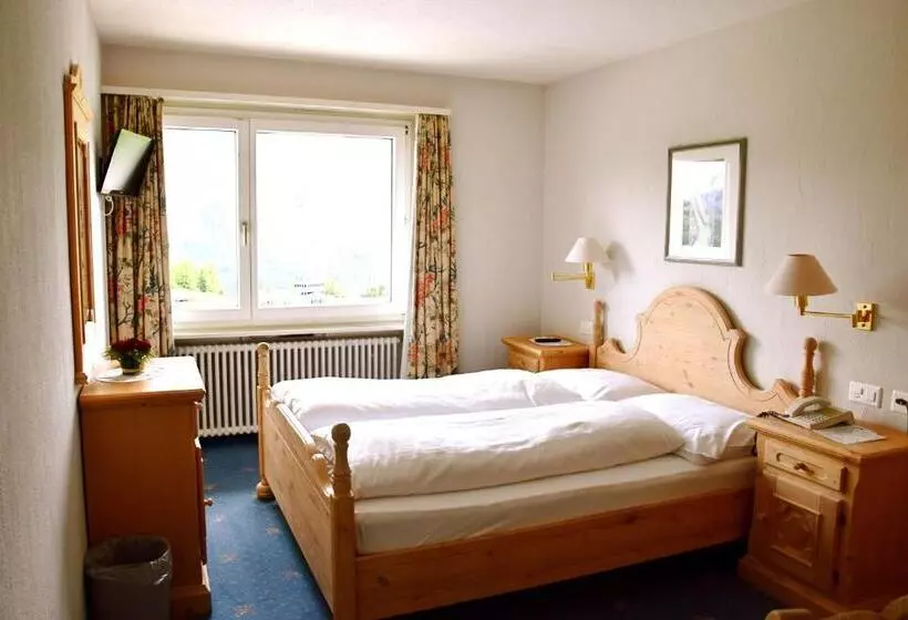 Chambre Standard, Salastrains