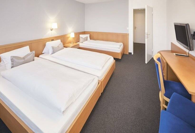 Трежместный Номер Economy, Schiff Am Rhein