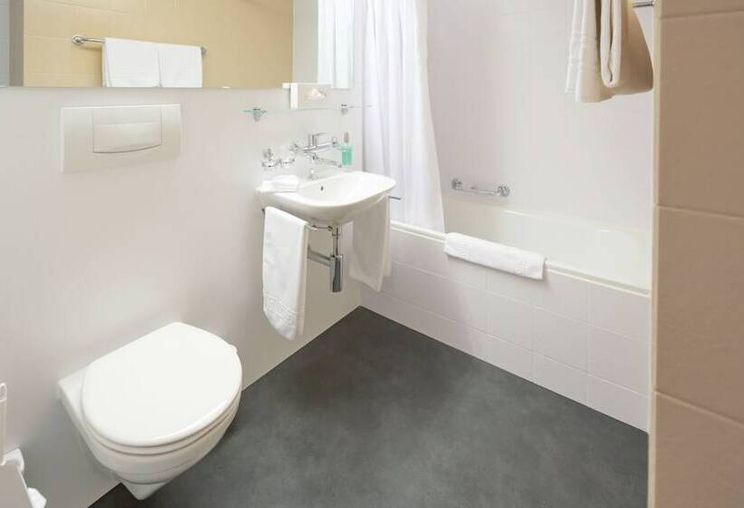 Номер Economy, Schiff Am Rhein