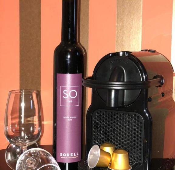 اتاق سوپریور با تخت بزرگ, Sorell Hotel Rütli