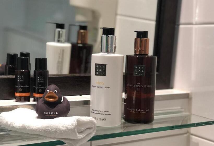 اتاق سوپریور با تخت بزرگ, Sorell Hotel Rütli