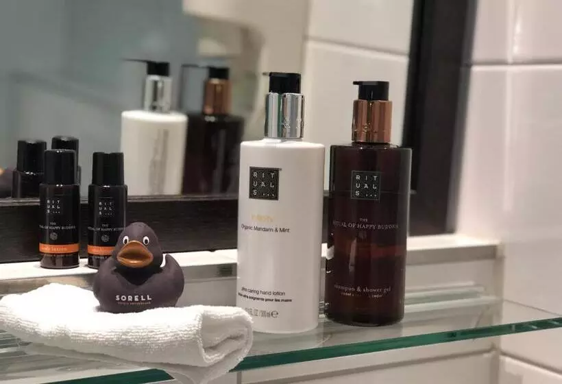 اتاق سوپریور با تخت بزرگ, Sorell Hotel Rütli