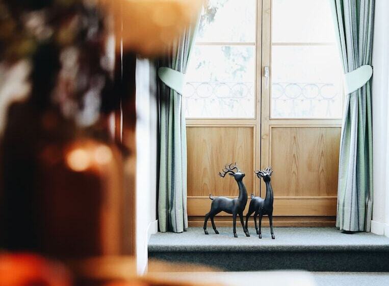 Номер Комфорт, Steinbock Pontresina