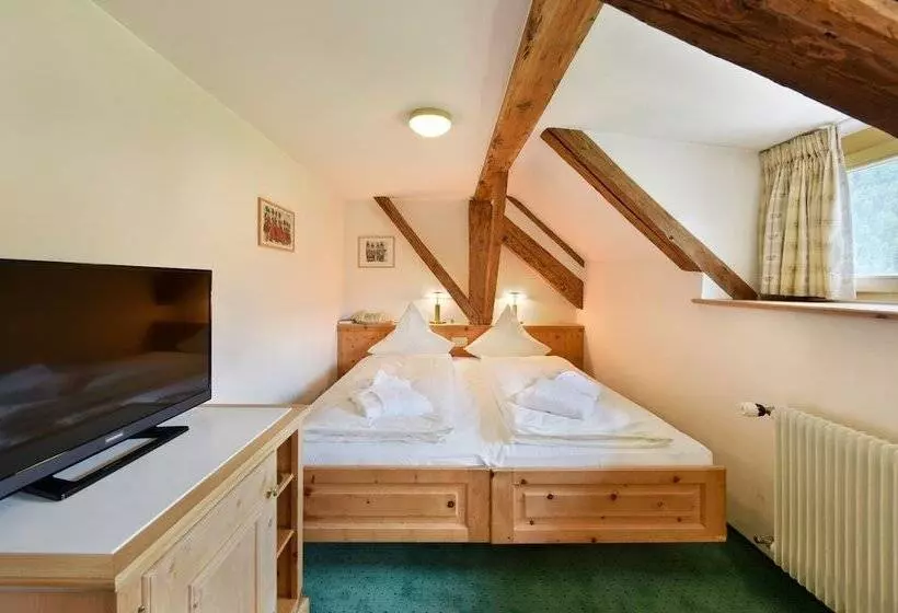 اتاق اکونومی با حمام مشترک, Steinbock Pontresina