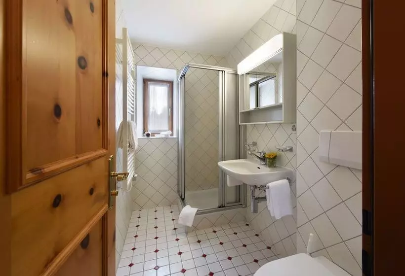 اتاق استاندارد یک نفره, Steinbock Pontresina