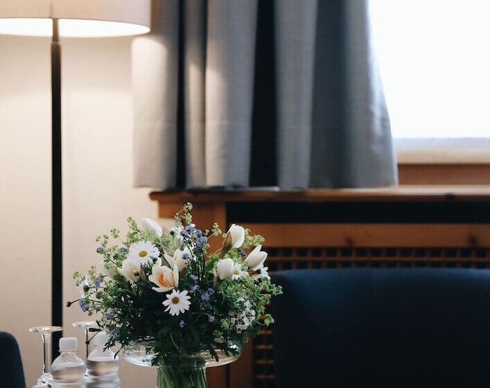 اتاق استاندارد, Steinbock Pontresina